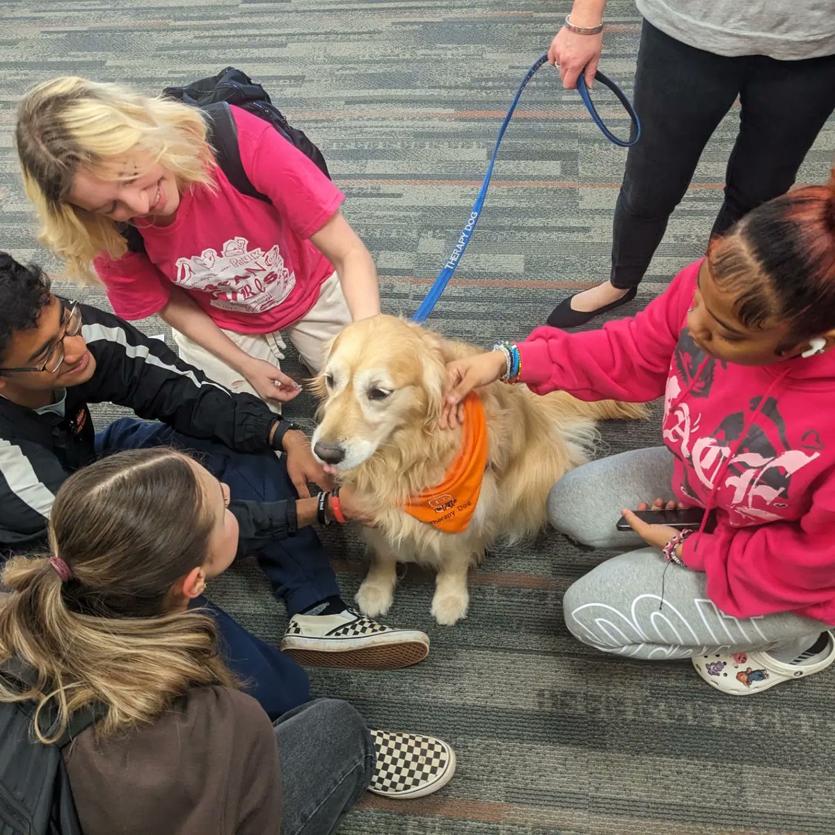 Andrea Caporale aka Mrs C tweet media