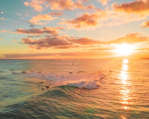 Hugo Silva tweet media