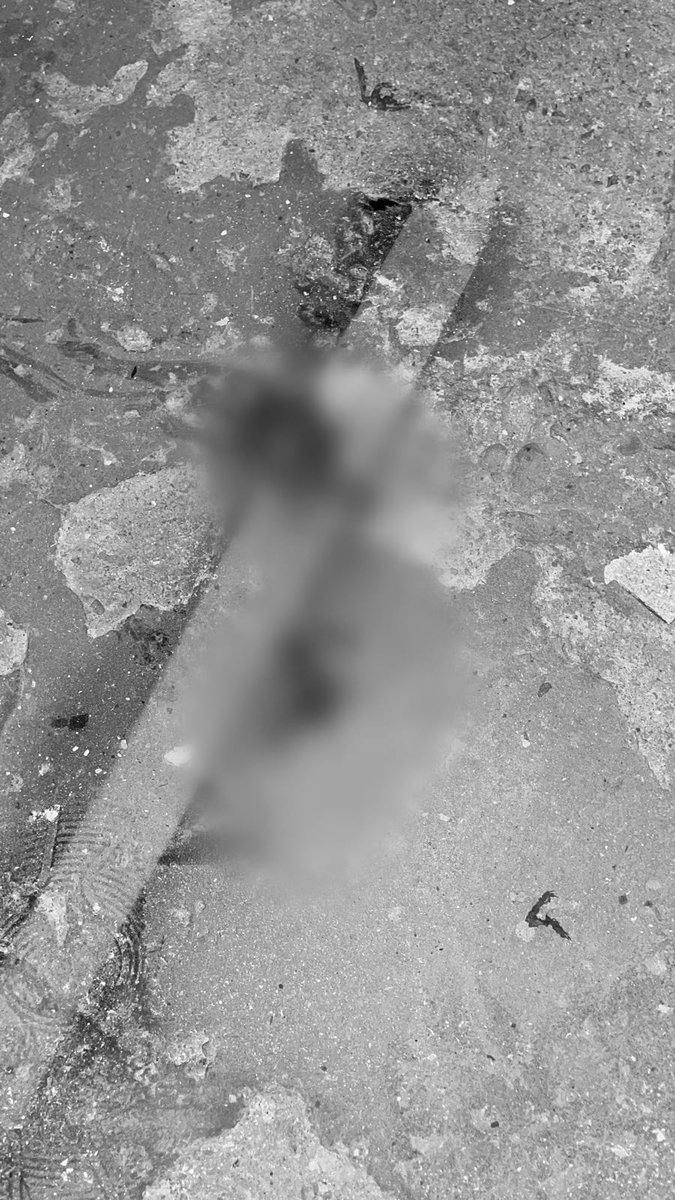 TrujilloManyas's tweet photo. ¡PIERDE LA MANO TRAS DETONAR DINAMITA!

Un delincuente venezolano pierde una mano, luego de detonar un explosivo entre las calles Ramiro Prialé y Wichanzao, en el distrito de La Esperanza, Trujillo. El sujeto fue trasladado por sus cómplices al Hospital Belén y luego huyeron. https://t.co/CrRbvHSMER