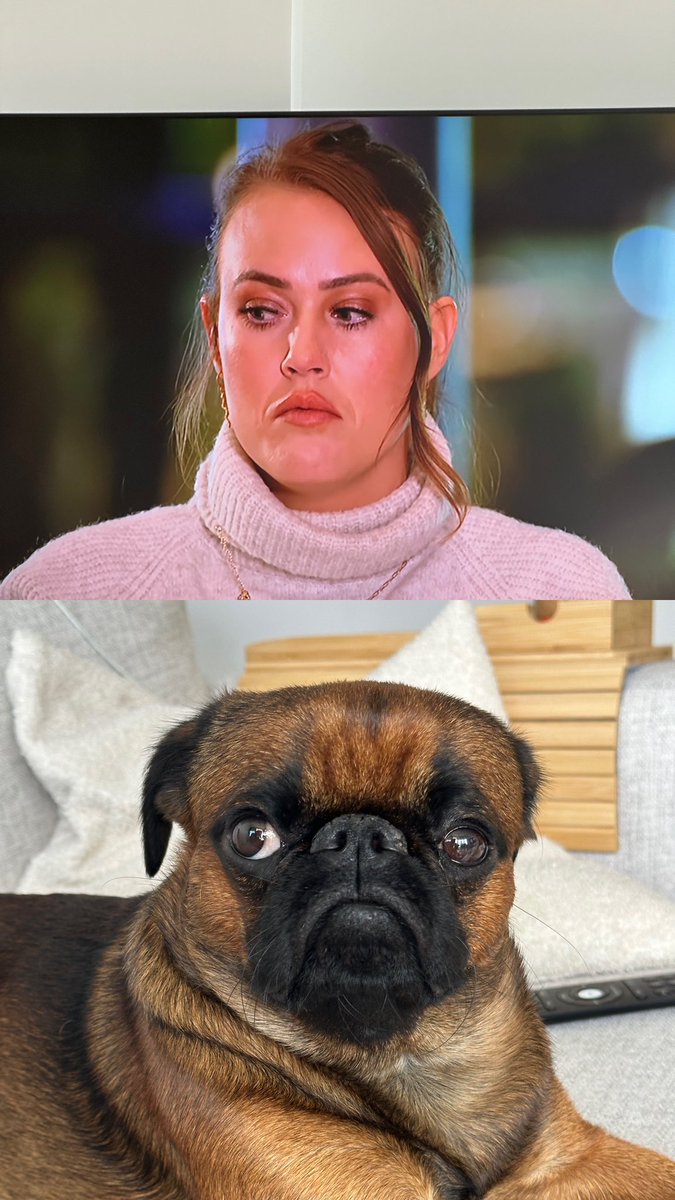MelanieCan's tweet photo. I don’t know about Megan Fox, but I think Chelsea looks like my dog Nipsey ☹️ #LoveIsBlind #Chelsea #MeganFox #nipsey https://t.co/zydD4hKq4J