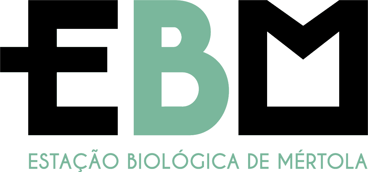 OPEN CALLS PhD Studentships | Biological Sciences, Veterinary Sciences, Forest Engineering and Agronomy or related areas 🗓️Deadline: May 15 More info: cibio.up.pt/en/jobs/phd-st… #CIBIO_InBIO #OpenPosition