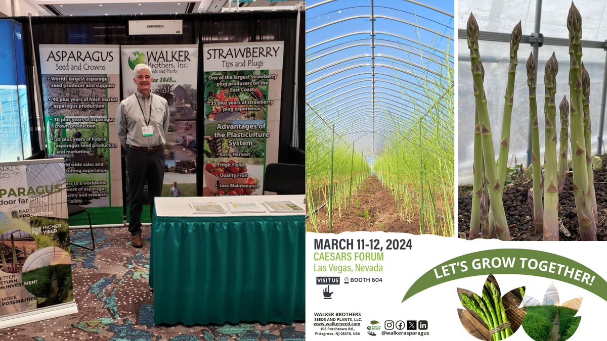 The Walker Brothers Team will return to the 11th Annual Indoor Ag-Con 2024 in #LasVegas from March 11-12. We'll be looking into the innovative technologies behind indoor farming practices, and implementing them into modern #asparagus indoor cultivation. #indooragcon #USA