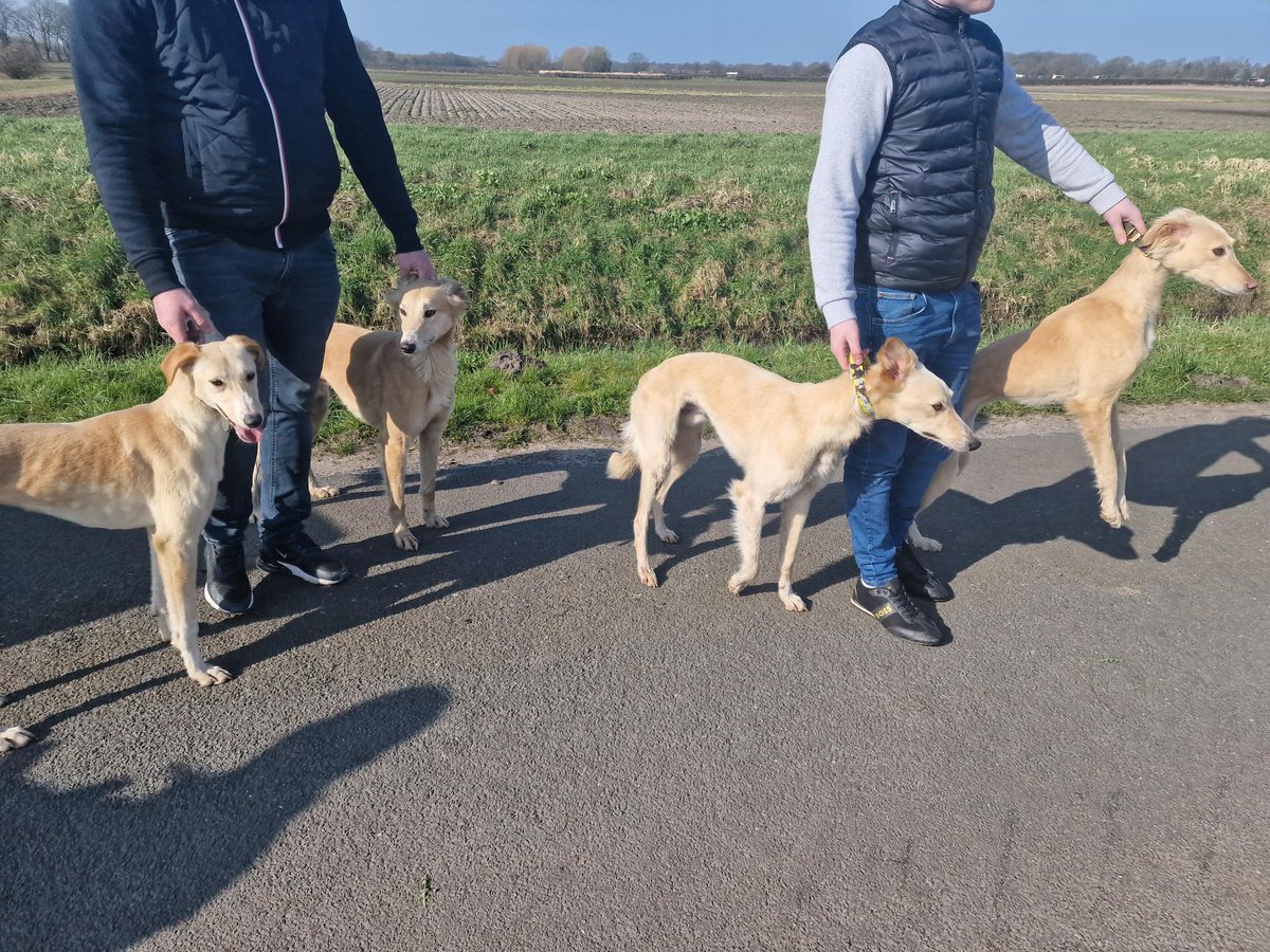 LancRuralPolice's tweet photo. South RTF detained 3 males hare coursing in Rufford, they've been summonsed, vehicle & equipment seized. Wildlife crime affects us all, impacts on wildlife and costs of damage impacts food prices, so we continue to target offenders.
#OPGALILEO #NOBORDERS #SOUTHRTF @POACHINGPDG https://t.co/l6txVW25yr