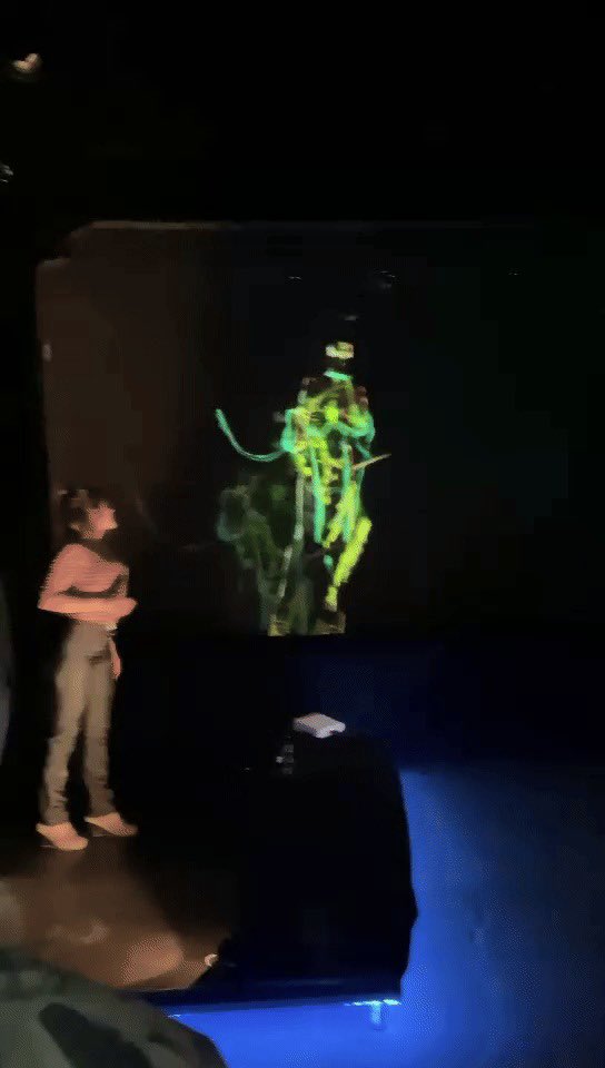 Schirin Negahbani tweet media