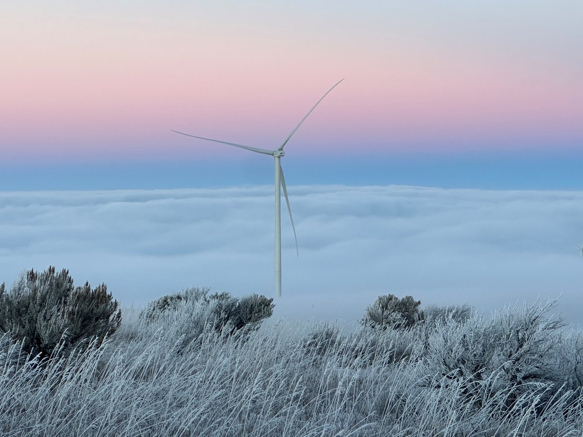 Wanzek Construction tweet media