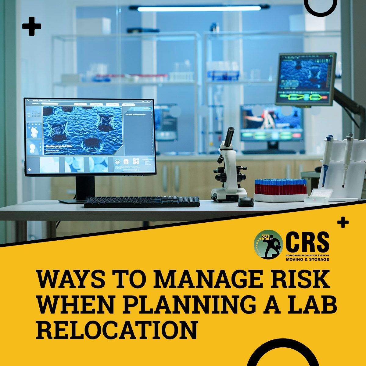 Labs often have fragile and expensive equipment, so managing risks during moves can be challenging🔬🧫📦  Get some tips on our blog: buff.ly/4bV5gOF 

#OfficeLiquidation #OfficeStorage #OfficeMove #NYCMovers #CorporateMovers #NYCBusinessMovers #NYC #BusinessMovers