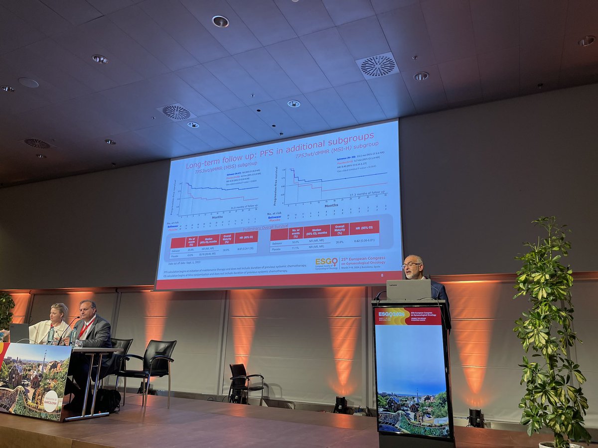 Is selinexor the magic drug in NSMP  endometrial cancer ?  #esgo2024
 An engaging discussion by Dr Sehouli