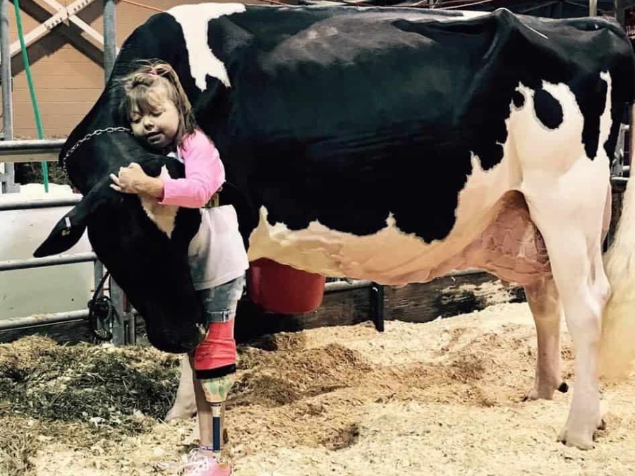 NationalFFA's tweet photo. Stories like Reese Burdette's remind us of the unbreakable spirit &amp; bonds within the agriculture community.🌱
This incredible young woman's story is a testament to courage resilience &amp; the Living to Serve platform that runs deep in FFA.

🔗 https://t.co/iJa1Hg618K 

#NewHorizons https://t.co/D50keEDC8n