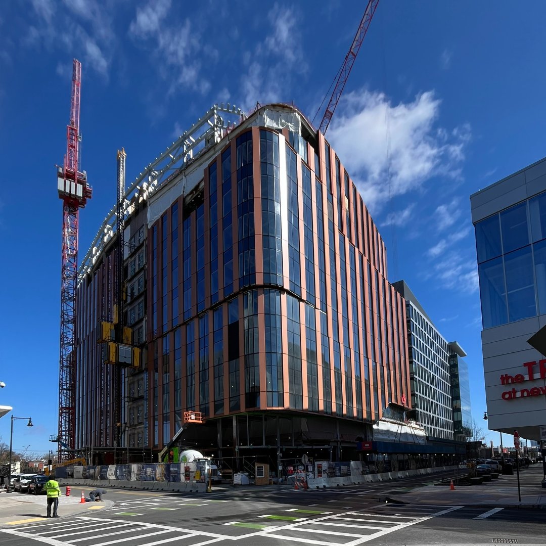 SGA (Boston | New York) tweet media