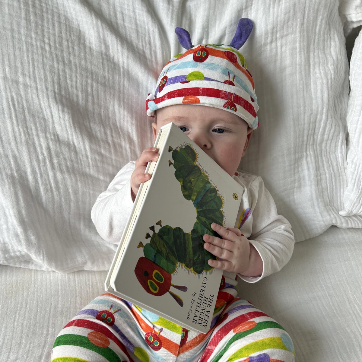 thePEdiary tweet picture