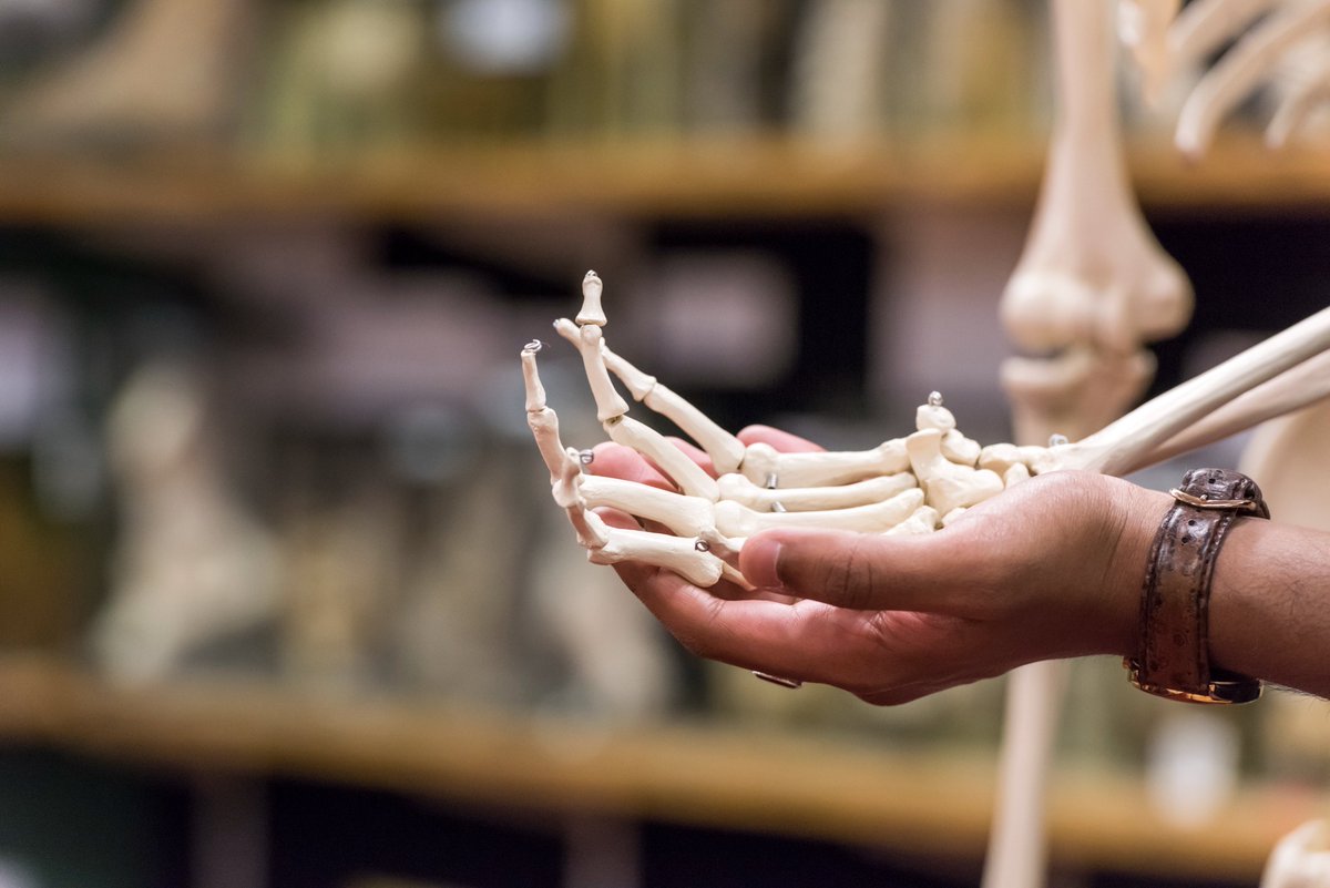 We have a very special announcement today. Very excited to launch our new series of behind-the-scenes tours of the historic Pathology Museum @StGeorgesUni With many thanks of our funders @RCPath ♥️ Book your visit: bit.ly/3P9X0R4 #pathology #museum #Tooting