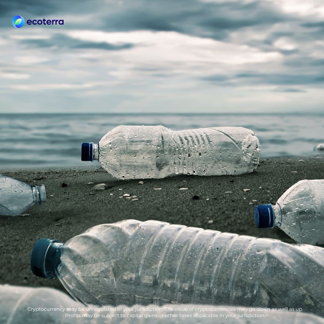 ecoterra tweet media