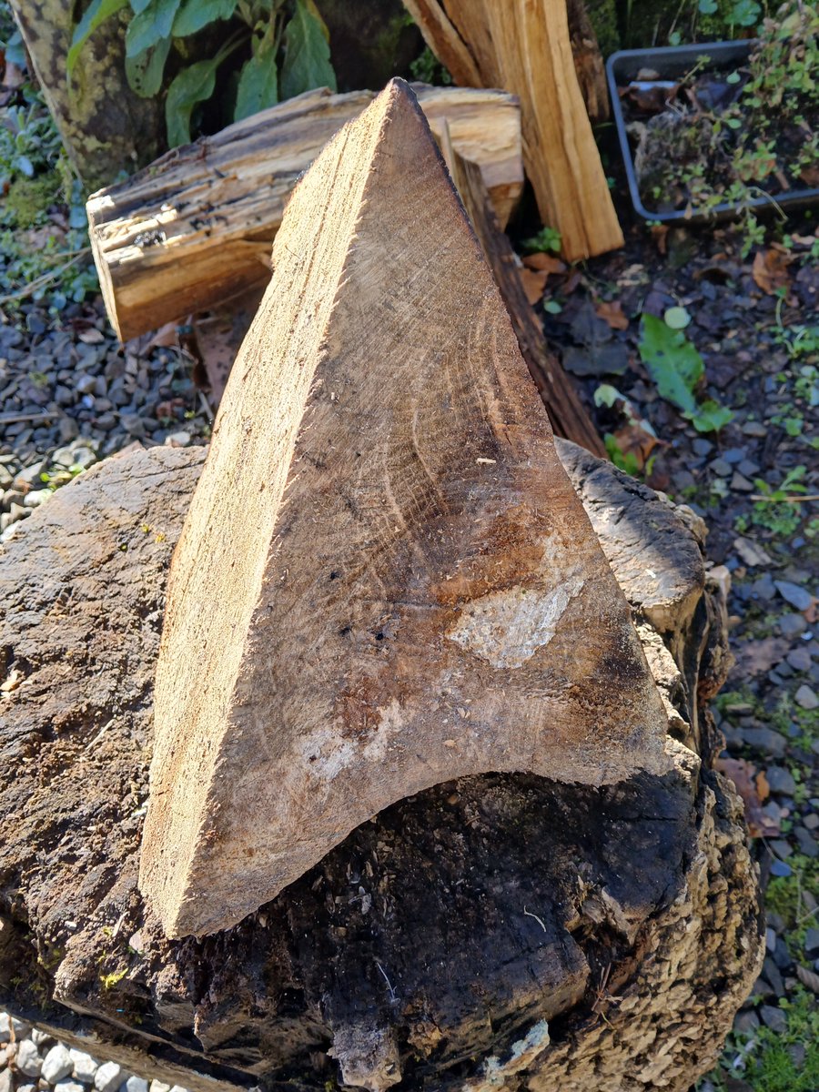 #StarTrek #StarTrekStrangeNewWorlds #StarTrekSNW
Captain's log... stardate? Today, in my woodstore.