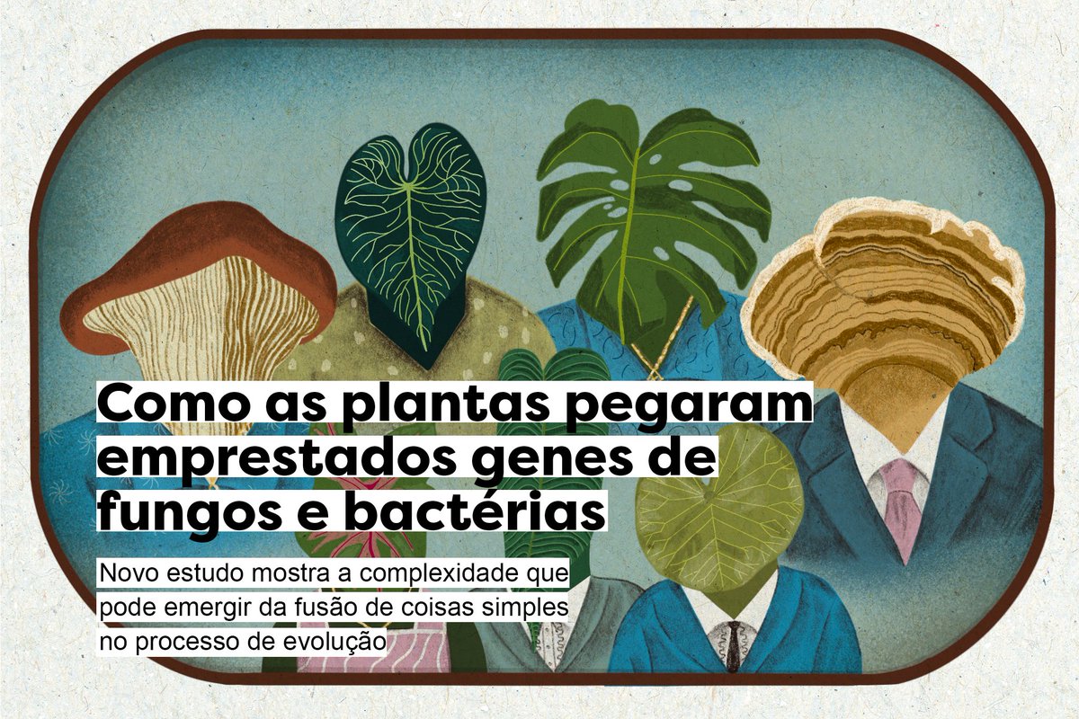 🌱Nos primórdios da teoria evolutiva, Charles Darwin concebeu a diversificação das formas de vida a partir de ancestrais comuns como uma grande árvore. Durante o último século, essa perspectiva foi desafiada. No #CiênciaFundamental, o geneticista <a href="/dudelbem/">Luiz-Eduardo Del-Bem</a> escreve sobre um novo