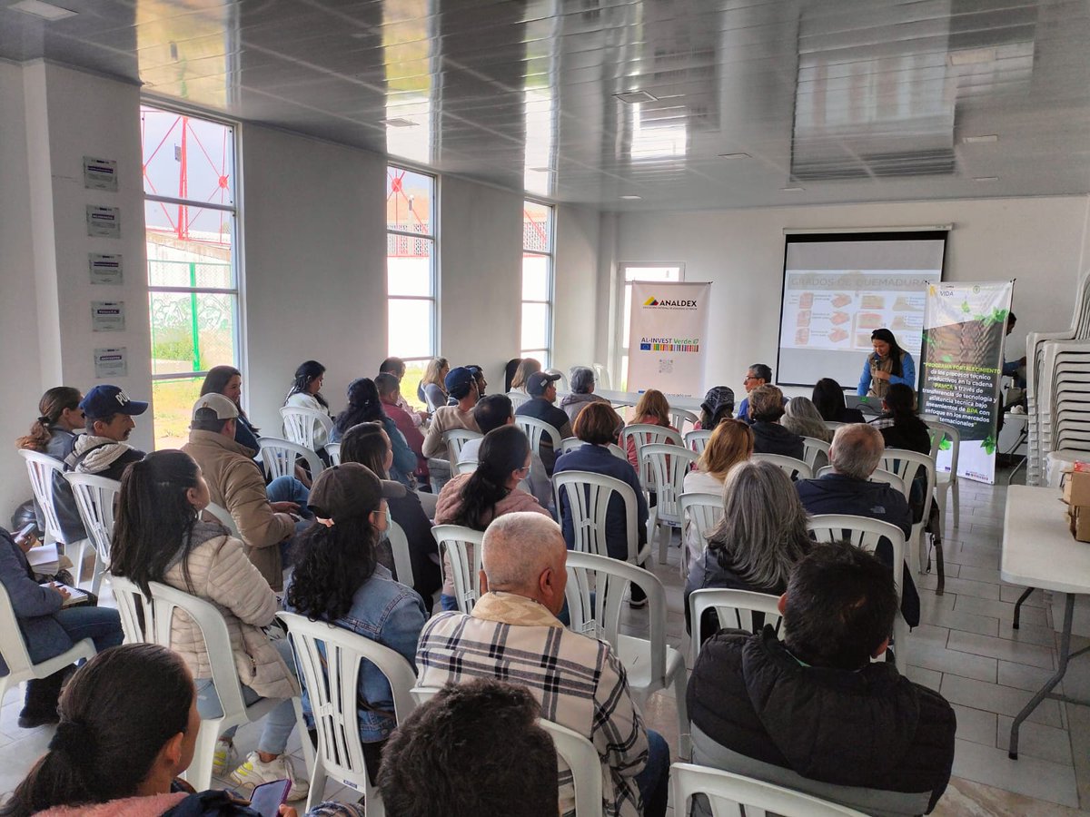 AnaldexColombia's tweet photo. #AEstaHora | Estamos junto a la @AlcMosquera y @AlcaldiaToca, @ALINVESTVerde y #Sequa, fortaleciendo los procesos técnico productivos en la cadena PAMCA, en el marco del convenio suscrito entre Analdex y el @MinAgricultura https://t.co/C43WsKbYfL