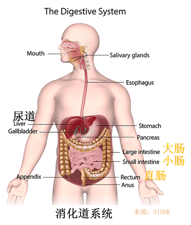scfsensei's tweet photo. 配图 https://t.co/rtzu3t6WXL