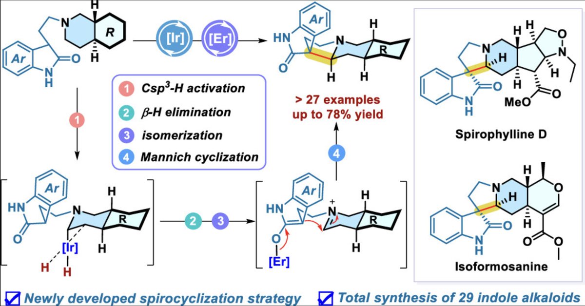 TotalSynthesis's tweet photo. Unified Strategy Enables the Collective #Syntheses of Structurally Diverse Indole Alkaloids by Jian Ren, Shi-Hua Ding, Xiao-Nian Li, and Qin-Shi Zhao in @J_A_C_S https://t.co/q7B8DWjajt https://t.co/v0sUIqDV5Q