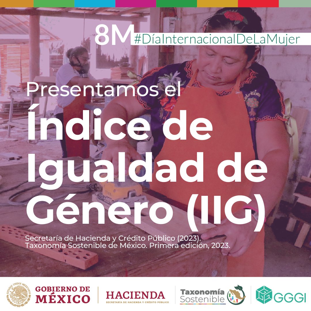 Mañana es el Día Internacional de la Mujer y queremos aprovechar el marco de esta conmemoración para hablar sobre las brechas de desigualdad que existen entre mujeres y hombres en nuestro país. ​

Para ayudar a cerrar estas brechas, la Secretaría de Hacienda y Crédito Público