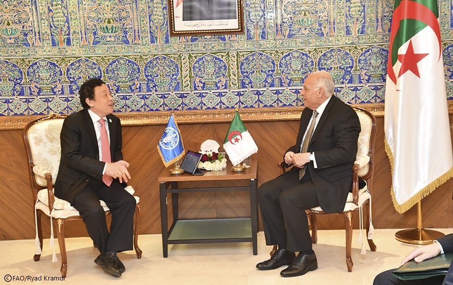 FAODG's tweet image. Pleased to meet with the Algerian Minister of Foreign Affairs Ahmed Attaf today. We discussed @FAO&apos;s support towards agrifood systems transformation in the country, leveraging science, innovation &amp;amp; #SouthSouthTriangularCooperation to help countries in the region.