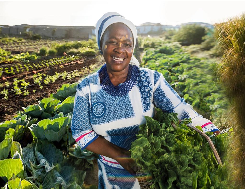 Technical briefs published by @UNCCD & @UN_Women analyze women's potential in driving Burkina Faso & Senegal's green economies. Most opportunities in agriculture, forestry, waste mgmt, & renewables = crucial for achieving #GreatGreenWall goals. unccd.int/news-stories/s… #IWD2024