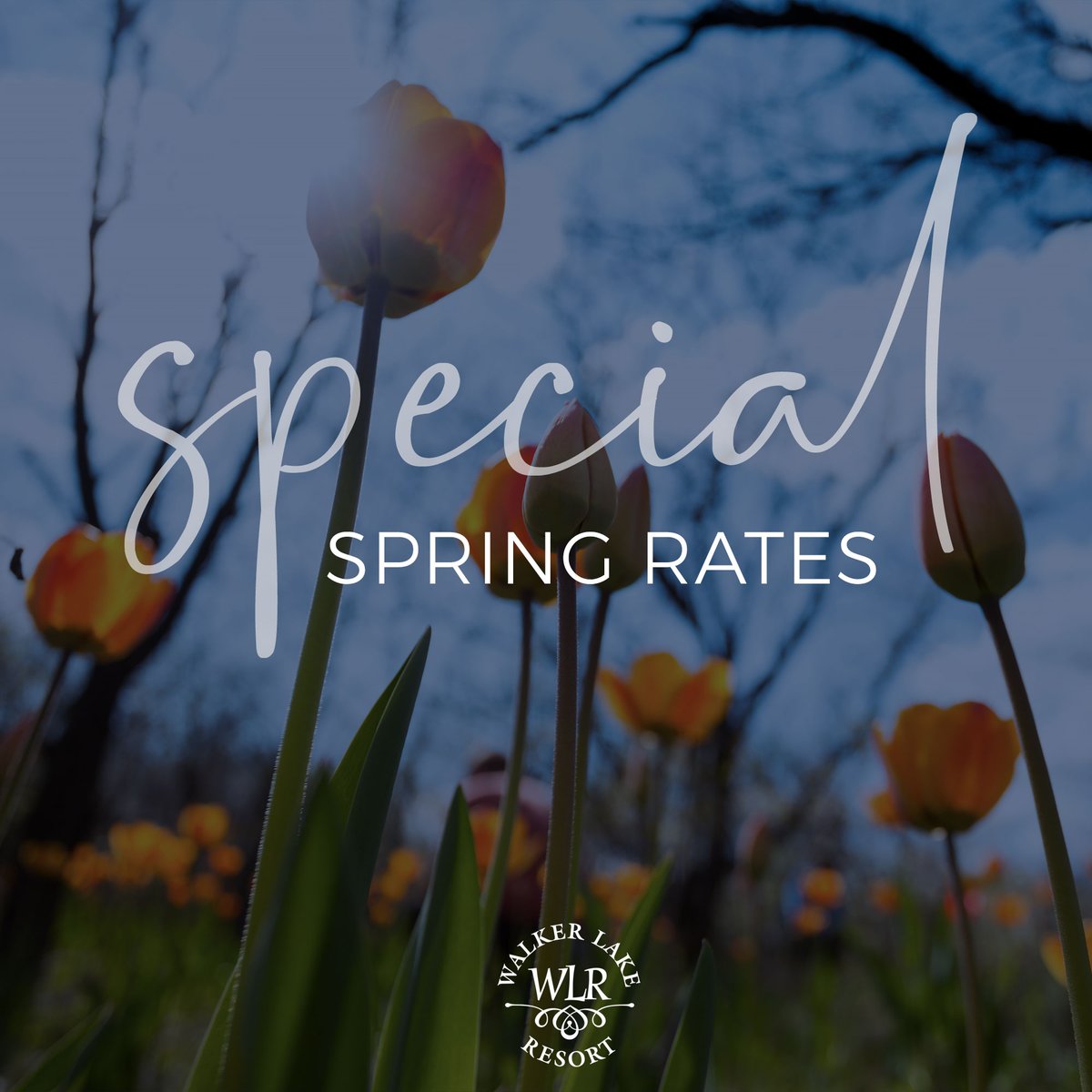 For a limited time we are offering SPECIAL SPRING RATES on bookings throughout May and June (while availability lasts). Find out more > info@walkerlakeresort.com #springtime #springishere #springrates #walkerlakeresort #muskoka #walkerlake #huntsvilleontario