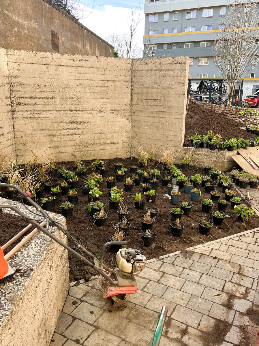 Planting has begun at Woodside! 

Lush raingardens and edible planting will make for a resilient and community oriented neighbourhood.

Woodside Making Places is a transformative retrofit project - informed by the community and funded by <a href="/QueensCrossHA/">Queens Cross Housing</a>  and <a href="/SustransScot/">Sustrans Scotland</a>