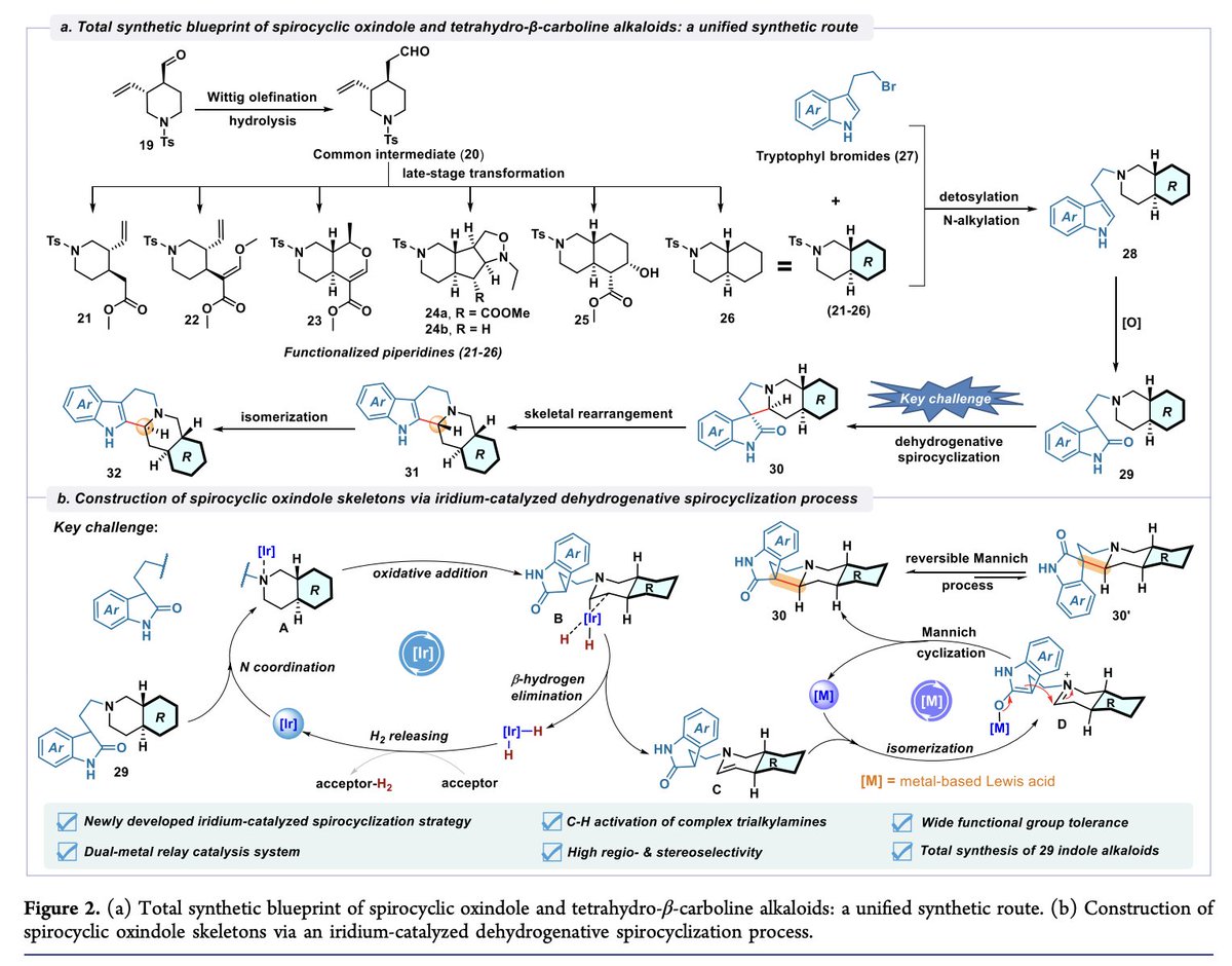 TotalSynthesis's tweet photo. Unified Strategy Enables the Collective #Syntheses of Structurally Diverse Indole Alkaloids by Jian Ren, Shi-Hua Ding, Xiao-Nian Li, and Qin-Shi Zhao in @J_A_C_S https://t.co/q7B8DWjajt https://t.co/v0sUIqDV5Q
