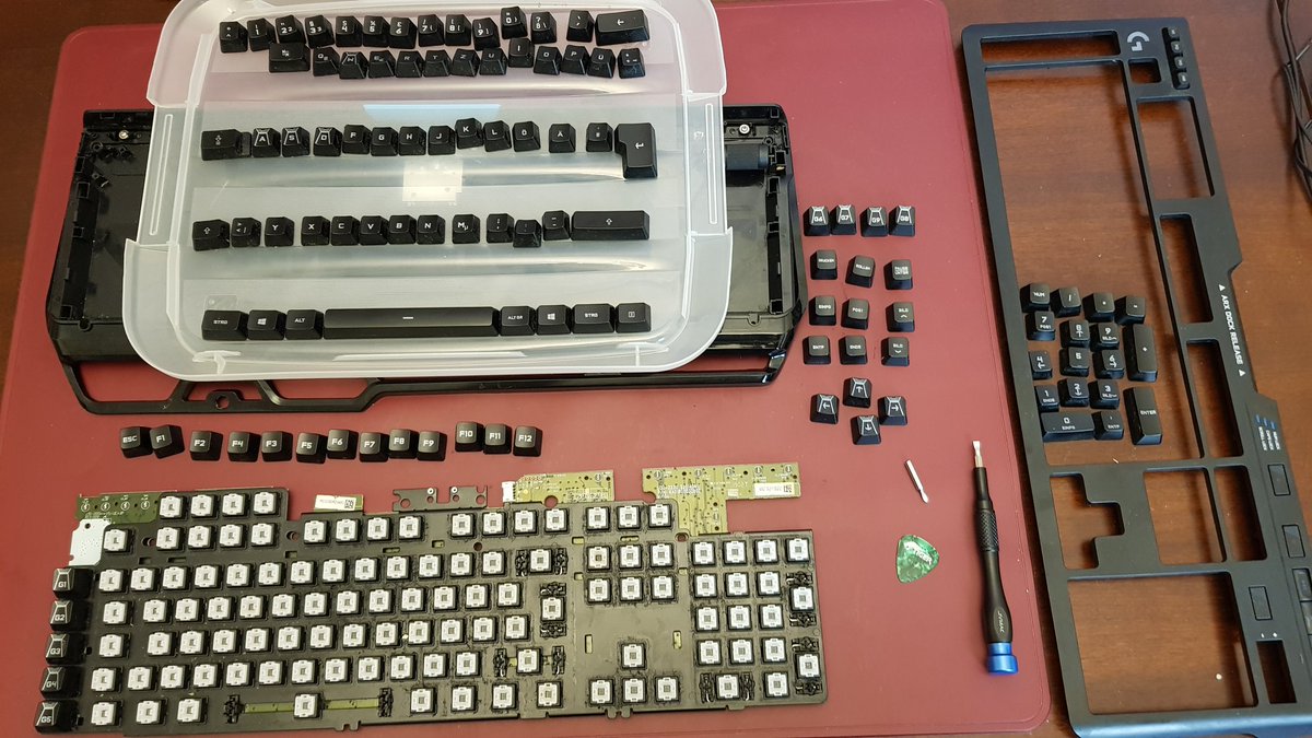 Paralolum tweet media