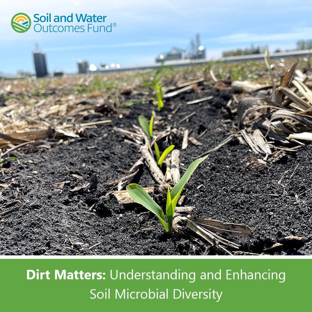 OutcomesFund's tweet photo. ๐ฑ This #SoilHealthWeek, we celebrate the ground beneath our feet! Check out our latest article to learn the key components of #soilhealth & the pivotal role #microbialdiversity plays in fostering resilient agricultural ecosystems. >> https://t.co/Q0KxJXwkze
#agtwitter #farmchat https://t.co/fOgJf1GPBG