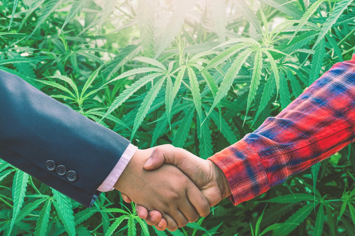 Shaping the Cannabis Industry with Corporate Social Responsibility

The latest GMP Collective webinar explained how Diversity, Equity, and Inclusion (DEI) &amp; Environmental, Social, and Governance (ESG) play a role in the cannabis industry.

➡️ Read more: ow.ly/OxRi50QNIus