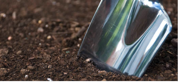 Ecological Culture Initiative tweet media