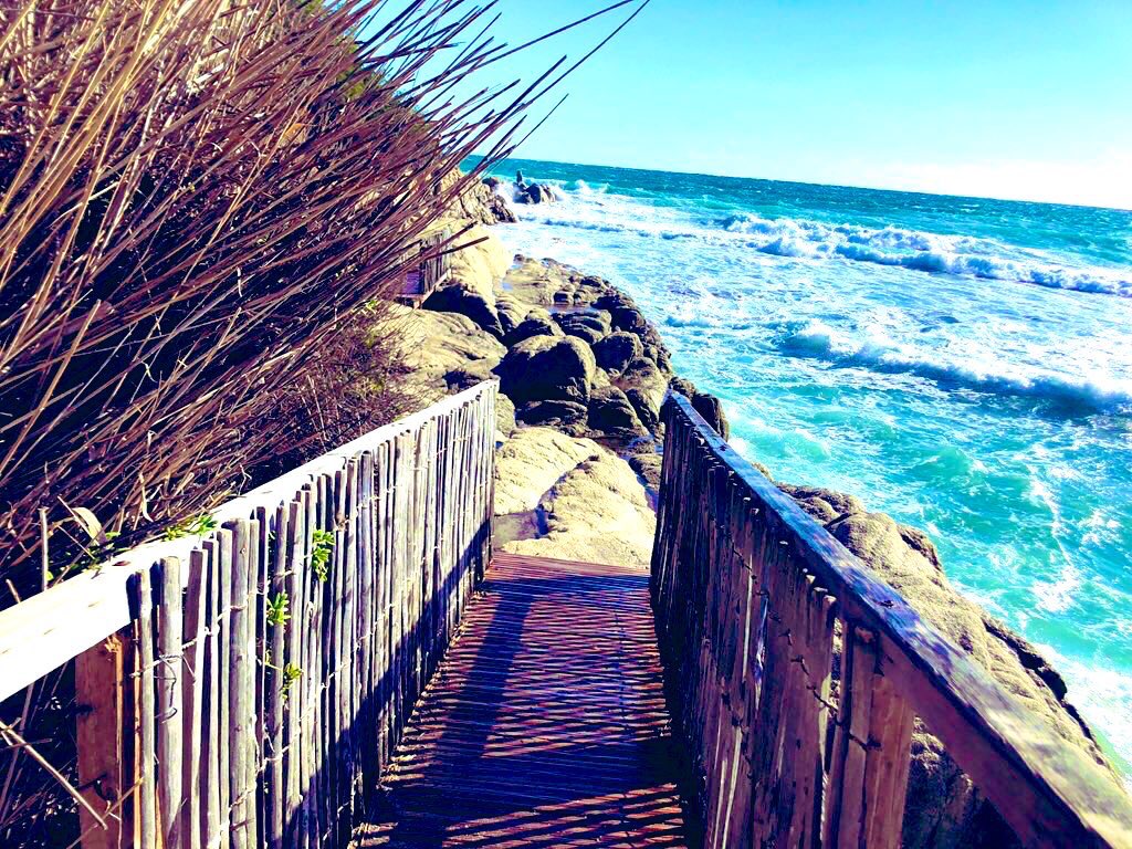 zeLaure_'s tweet image. F actuel 
O #Enfants de #Gaza 
R ayonnant ✨d’#Innocence 
C ourant aux #Abris de #Fortune 
E nclave d’un #Piège 

S ur La #NoteClé 
I n #Fine #Chasse à ✨l’#Homme 
N ageant #Génocide 
I nstant de #Barbarie 
S ous les #Projecteurs 
T oi #Peuple de #Gaza 
R ésistant
E n Sa #Foi 💫