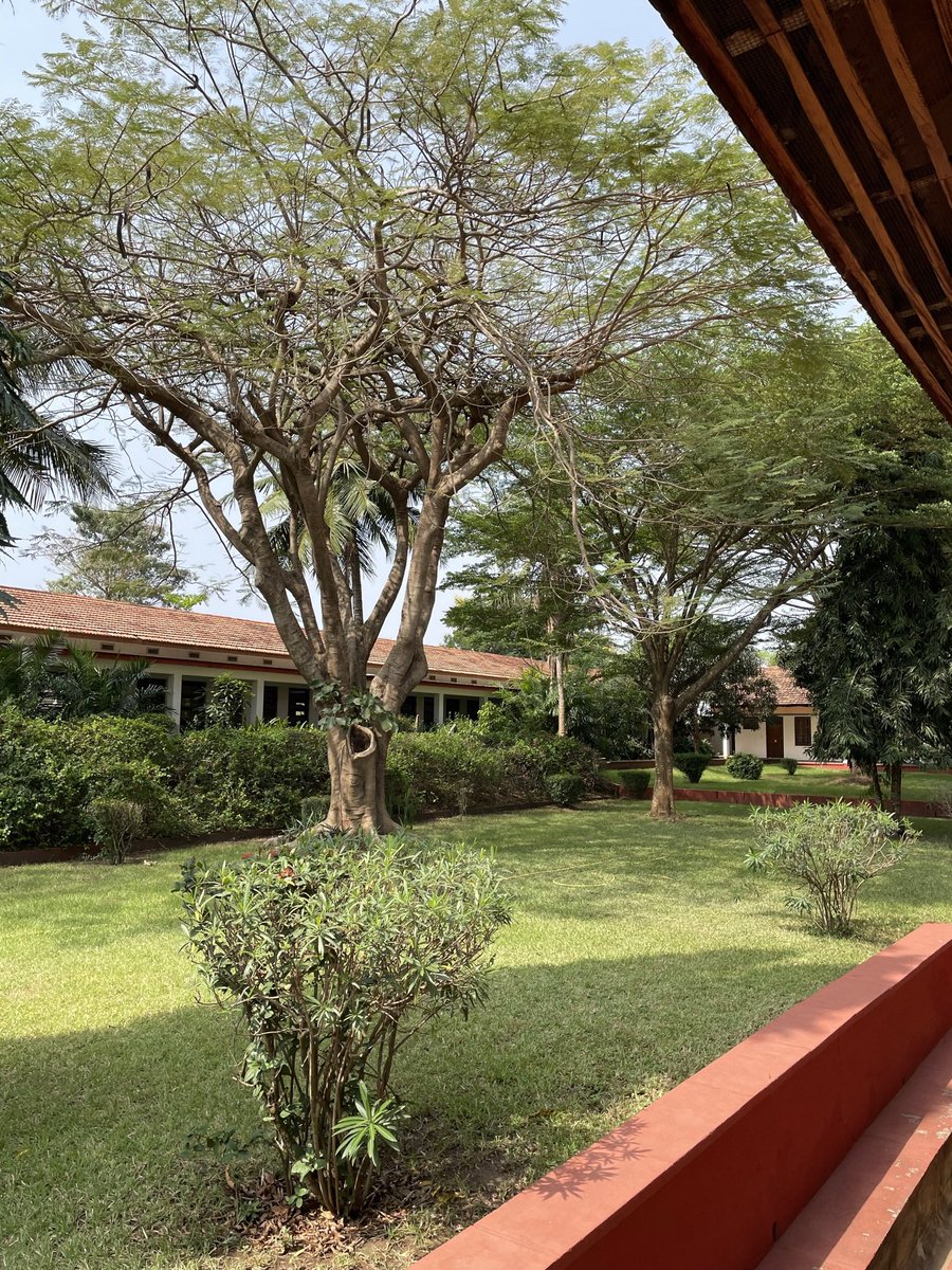 JasminEllaW's tweet photo. Very much enjoying my time at @UnivofGh visiting @cbcrgh, which has some of the greenest &amp; most beautiful offices I’ve worked in 🙌🏼 https://t.co/1X5hMytvZv