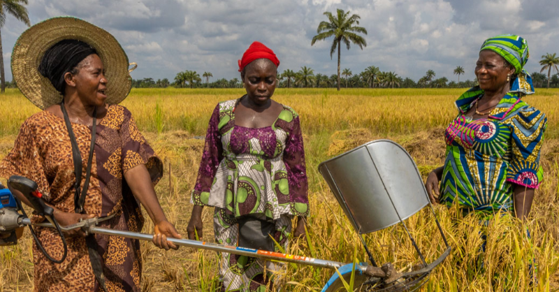 IFADamericas's tweet photo. Gender equality isn't just an urgent need: it's the best investment for a food-secure future.

That's the message IFAD, @WFP and @FAO will be underlining tomorrow on #InternationalWomensDay at our joint Rome-based agency event ⬇️