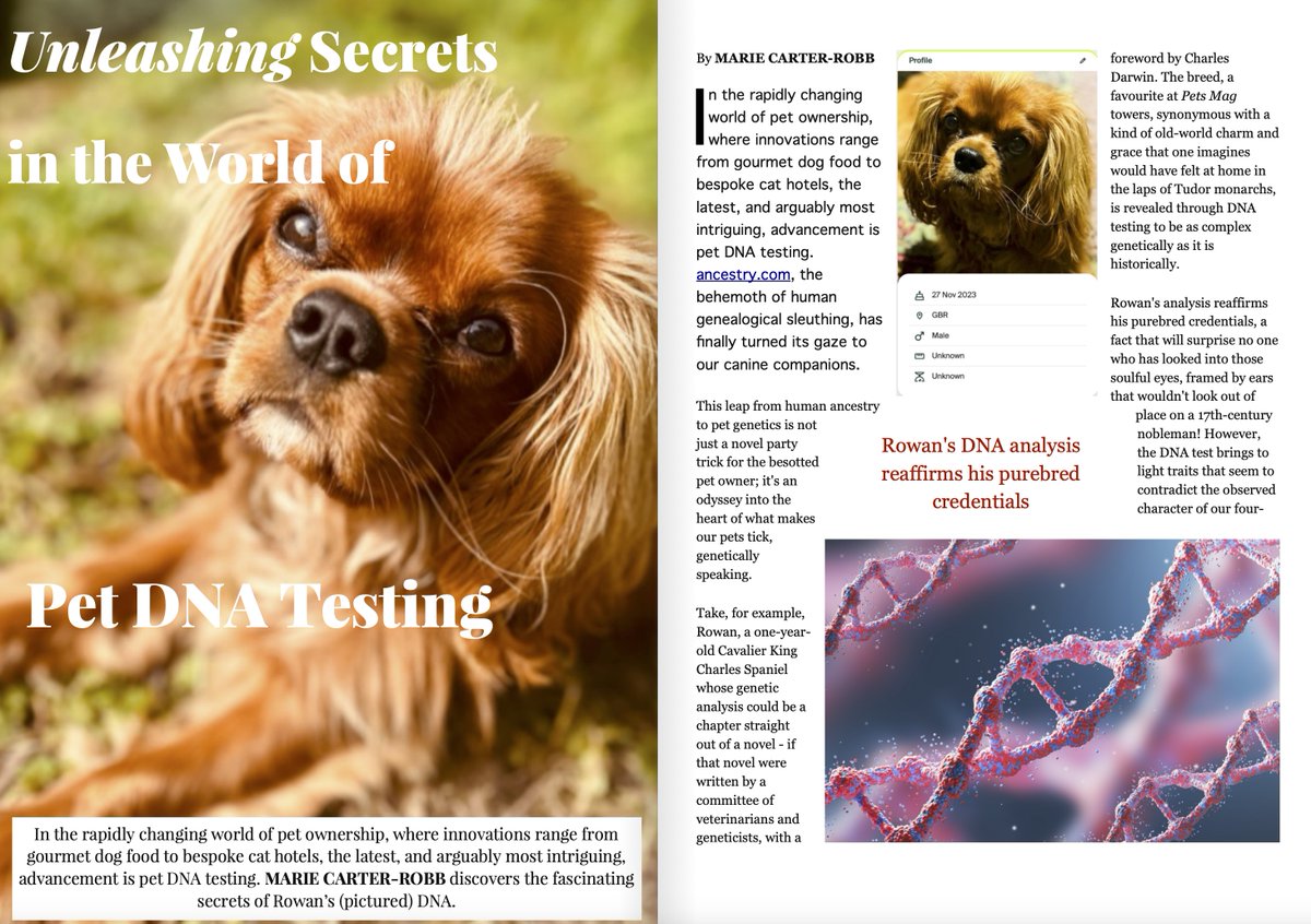 Pets_Mag's tweet image. 🐾 Unleash the secrets within! 🧬 Meet Rowan, the regal spaniel with a tale in his DNA.👇 Dive into your pet&apos;s past, shape their future.✨ #PetDNATesting #UnleashTheSecrets  petsmag.co.uk