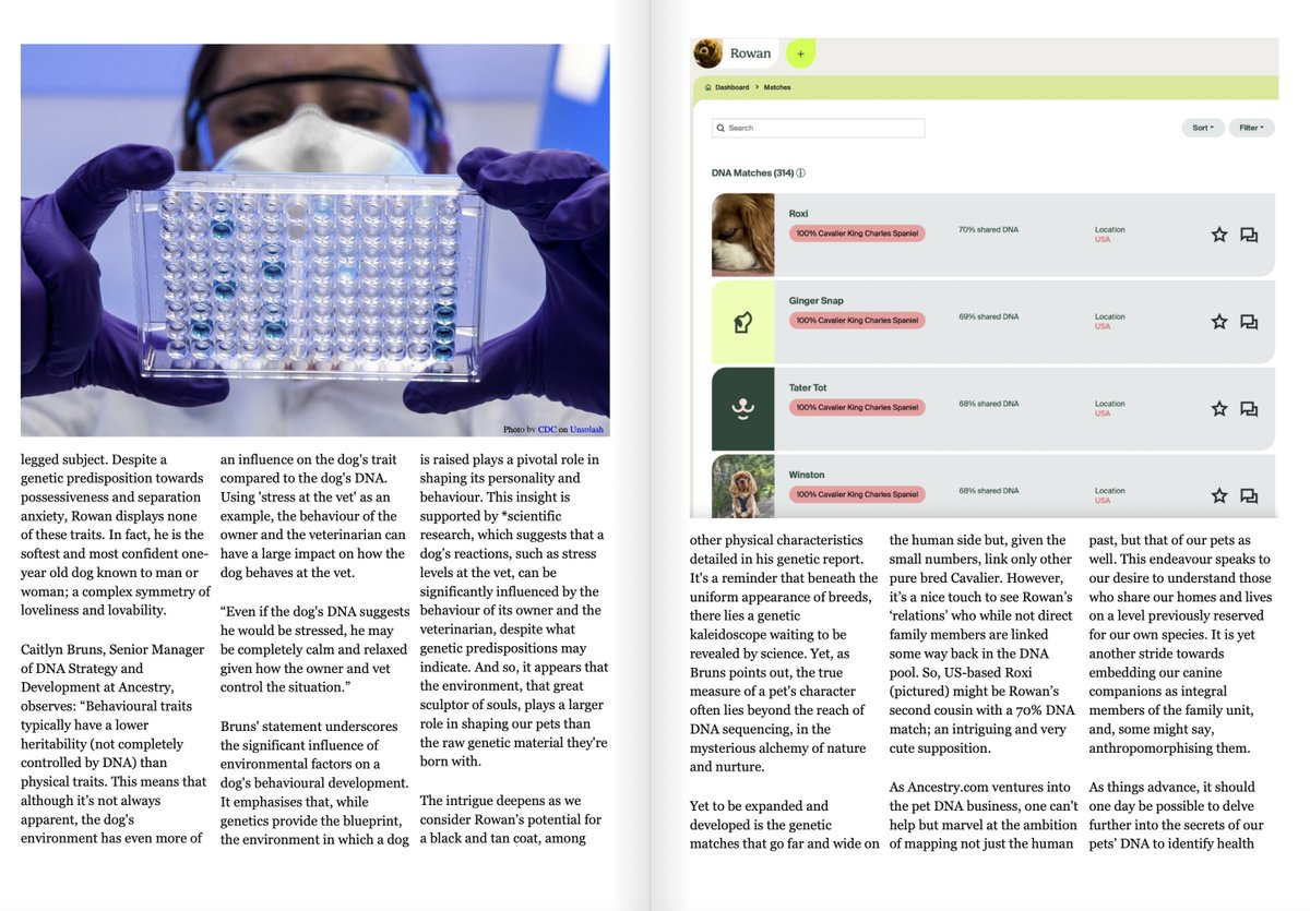 Pets_Mag's tweet image. 🐾 Unleash the secrets within! 🧬 Meet Rowan, the regal spaniel with a tale in his DNA.👇 Dive into your pet&apos;s past, shape their future.✨ #PetDNATesting #UnleashTheSecrets  petsmag.co.uk