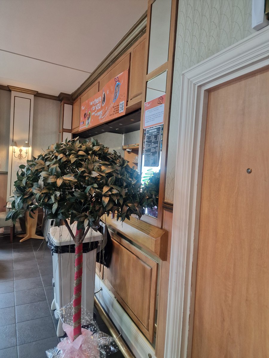 Aulus Duo tweet media