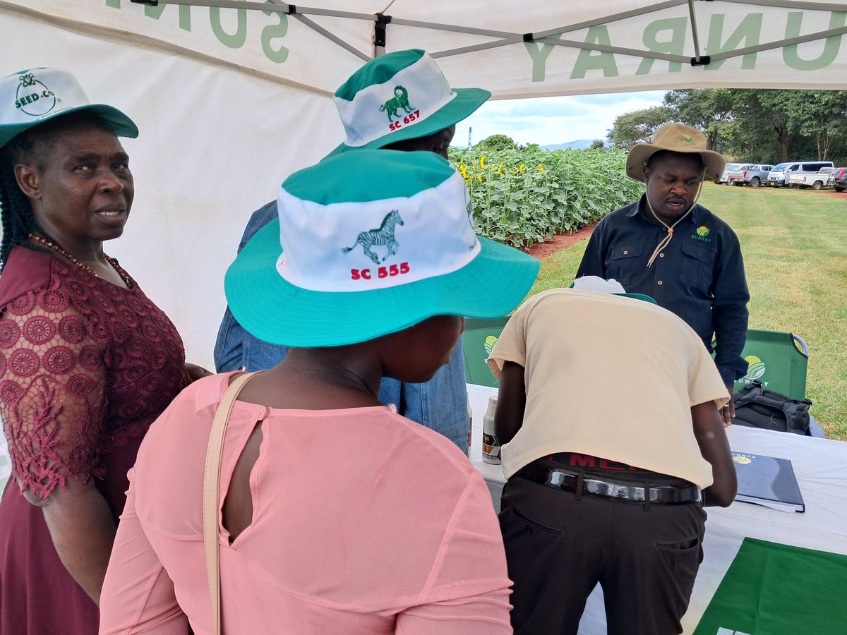 Earlier on Today,at the annual Rattray Arnold Research Station field day in Shamva.  <a href="/PhiriDivah/">Divah Phiri</a> <a href="/SeedCoVegZim/">Seed Co Vegetables Zim</a> <a href="/SeedCoZimbabwe/">Seed Co Zimbabwe</a> <a href="/ForwardMakasi1/">Forward Makasi-Snr. Agronomist🇿🇼</a> <a href="/mucharedzeyi/">Mudumenwemari..Int'l</a> <a href="/MukuvariKaroi/">Mukudzvova Farm Produce</a> <a href="/CropDoc_Onias/">Crop Doctor/Agronomy Consultant</a> <a href="/WendyMadzura/">Wendy Matashu Madzura</a> <a href="/agribusiness110/">agribusiness1. Wadzanai Manyore</a>