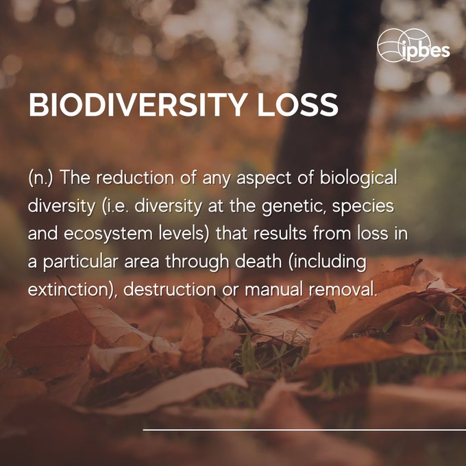 UN Biodiversity tweet media