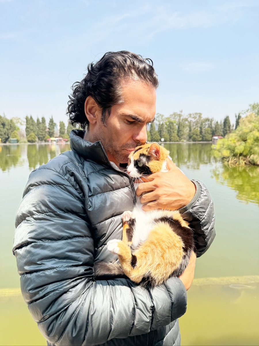 armandoaraiza's tweet photo. Como se llama tu mascota? Mi nieta se llama VEGA #mascota #adopt #adopta #ArmandoAraiza #gatija #perrijo #michi #peludos #gatuno https://t.co/rM2tT5EM3W