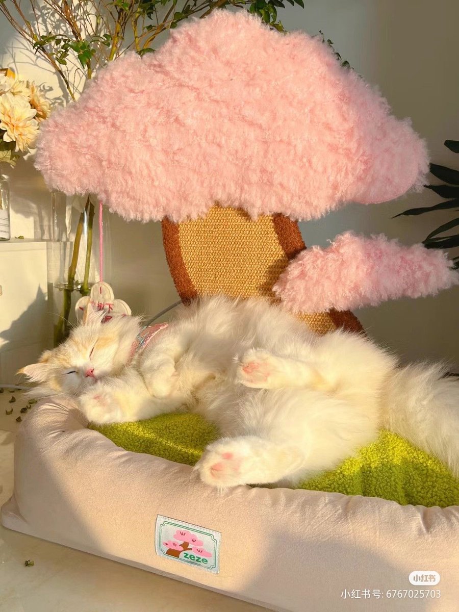 SoftnessDaily's tweet photo. sakura tree pet bed 🎀 https://t.co/dFhJPsxATY