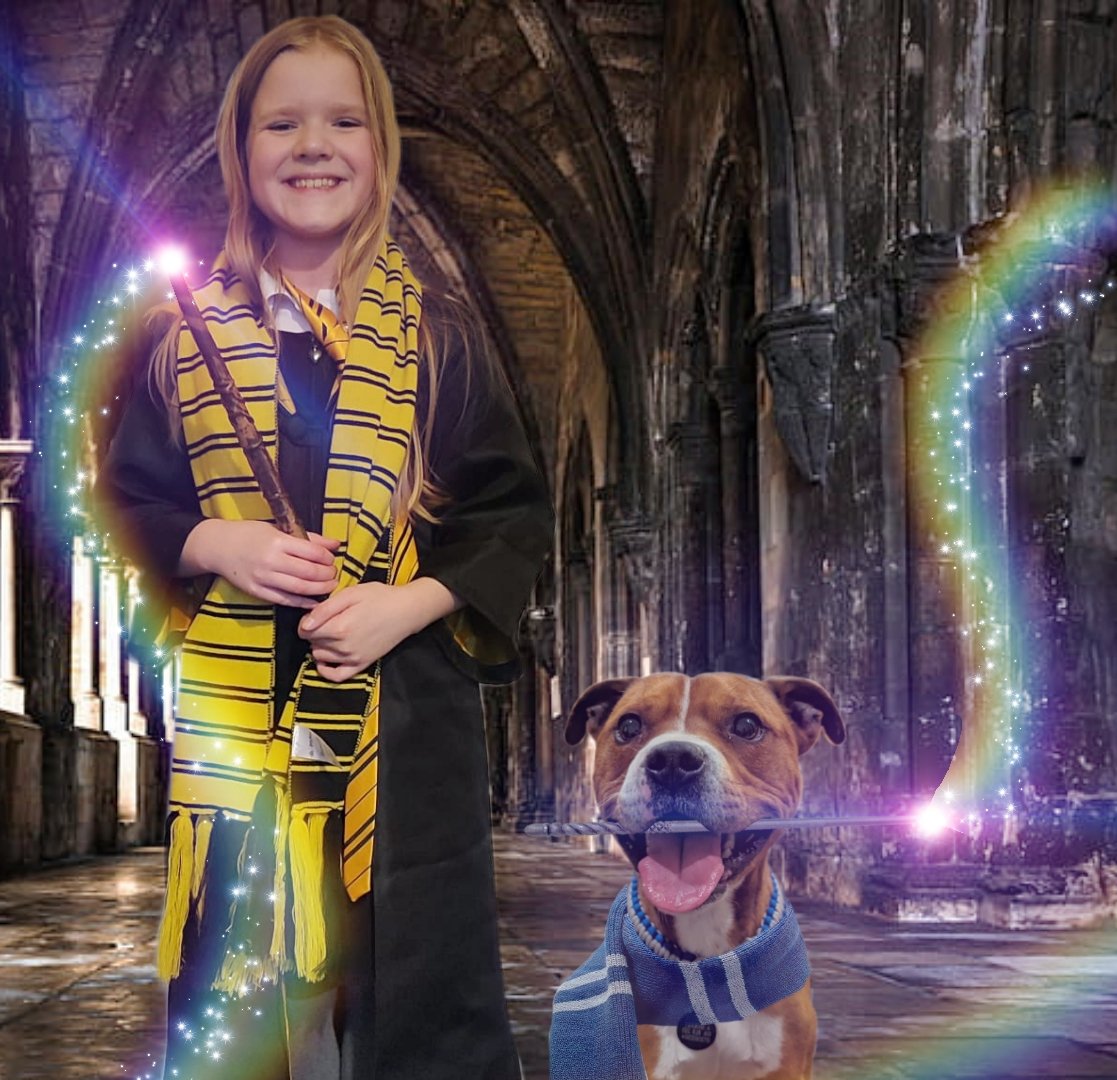 Happy World Book Day 💛🦡💙🦅✨🐾😁