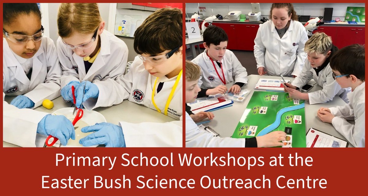 📢#STEM workshops for P6 & P7 classes are running now @EBSOClab We're exploring #cells & inheritance 🧬🔬 in March and #microorganisms & disease 🧫🦠in Apr & May - make a booking enquiry for your class today! ➡️app.onlinesurveys.jisc.ac.uk/s/edinburgh/pr…