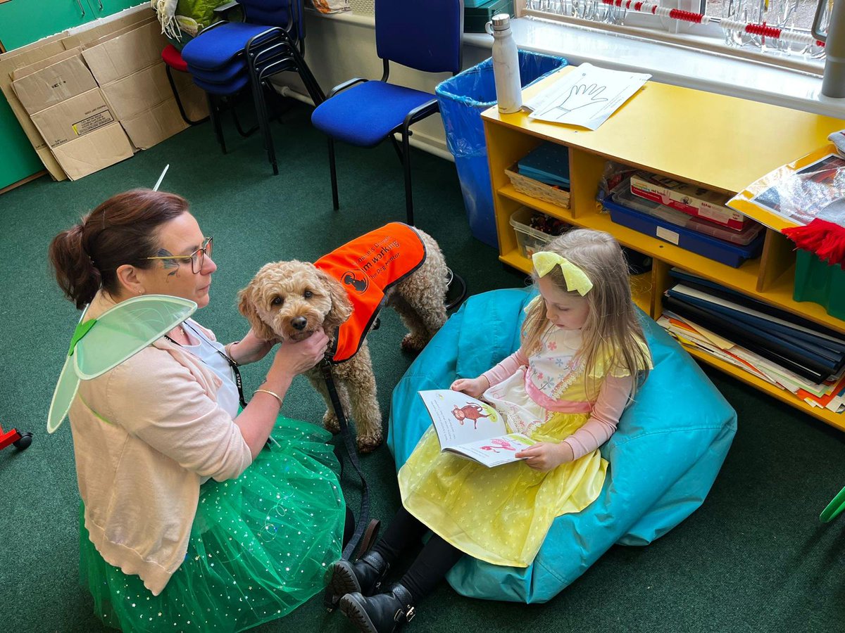 DogMentorSTM's tweet photo. Dougie enjoyed his first full day working at St Michaels today! He enjoyed being walked and read to. 
"A special thank you to year five for looking after me this afternoon, I felt safe in your class! Woof!".
@stmichaelswales
@DougieCNS 
#WorldBookDay2024 
@TheDogMentorUK https://t.co/Gx5gA3nUrC