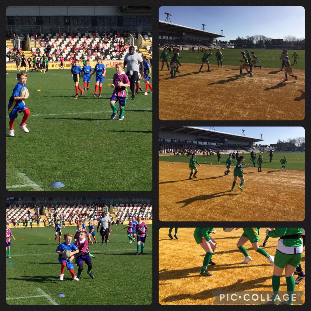 Trinant Primary tweet media