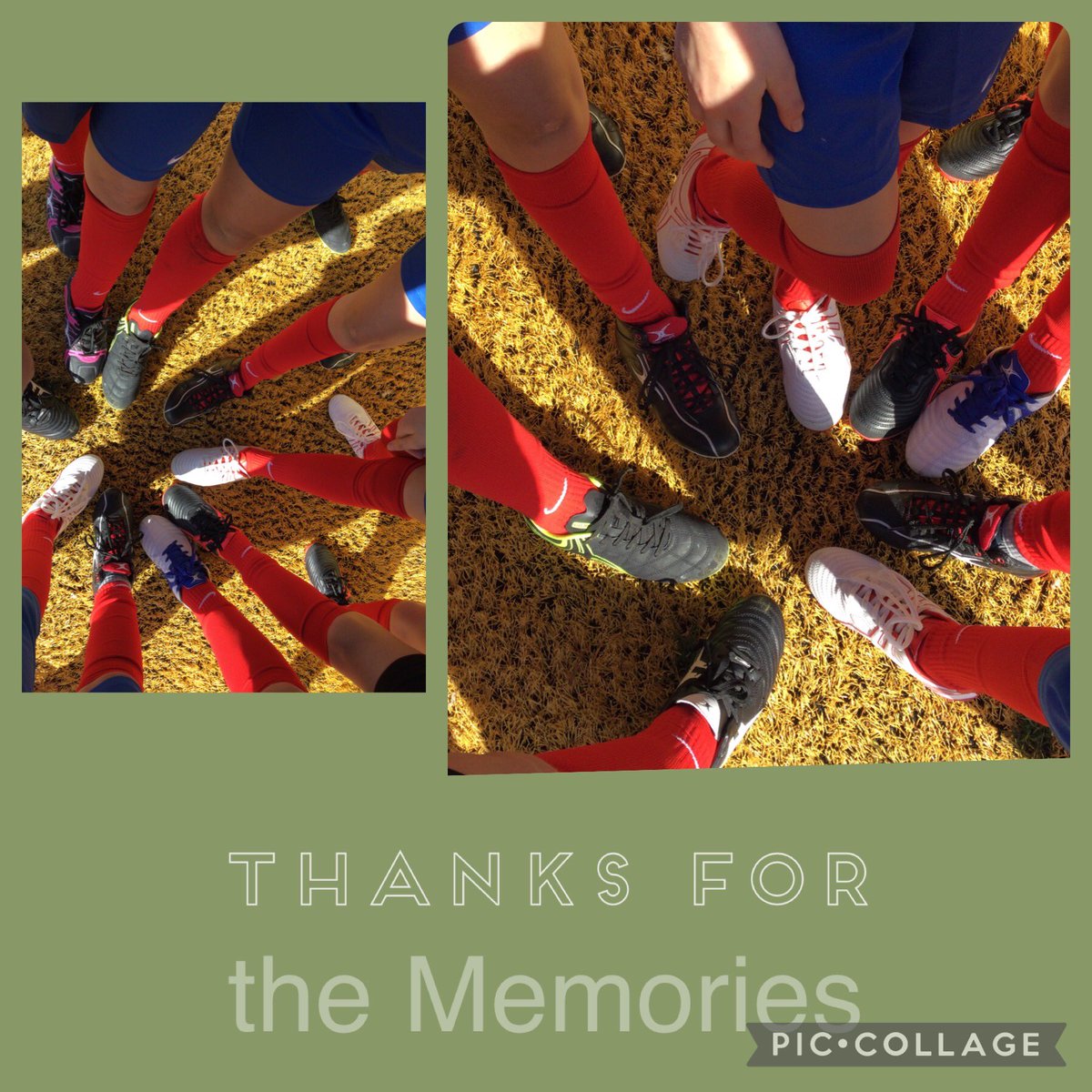 Trinant Primary tweet media