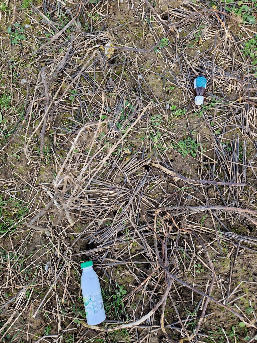 CarolineTender's tweet photo. Sampling in the sun the last two weeks. A lot of (macro)plastic, big fields that were not always easy to reach. But still, having fun. @ERC_Research @LM_UGent @LisaJoos1 https://t.co/jpmFRRTjb6