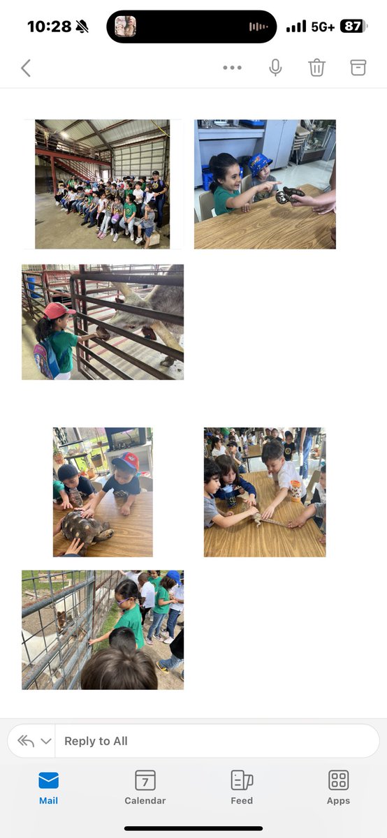 MAOH_DISD's tweet photo. Last week our Primary students visited the Environmental center ! Like Einstein would have said, “ Look deep into nature, and then you will understand everything better.” https://t.co/oPabN5ELkv