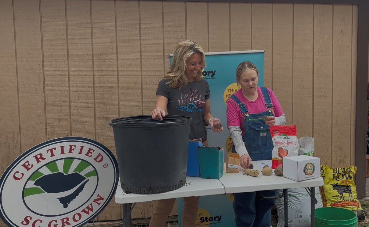 DawndyOnCam's tweet photo. Love potatoes?
Purple, red, whatever color potato you want, now is the time to get them planted.
https://t.co/EGLuahifV5
Sal Sharpe of Grow Your Garden with Sal can be found at https://t.co/DRoV1Yo563 or 803-786-6546.
#PlantingPotatoes
#GrowYourGardenWithSal
#ThisIsMyStory https://t.co/SuC9fDLe7e