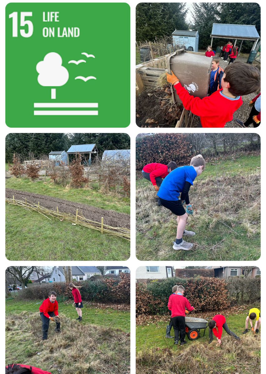 The Sustainability Squad worked together to prepare the Pollinator Patches ready for spring. This year we are creating more Pollinator Patches within our school grounds #SDG10